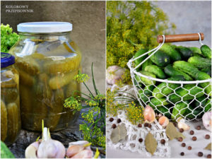 Ogórki kiszone krok po kroku - najlepszy przepis!