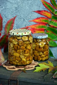 Podgrzybki marynowane w occie, grzyby w occie, grzyby marynowane,